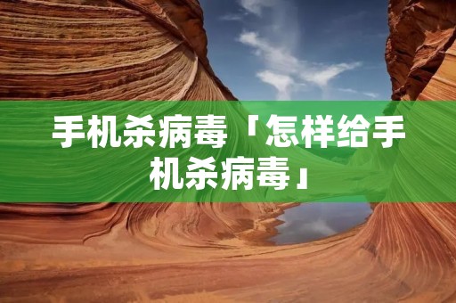 手机杀病毒「怎样给手机杀病毒」