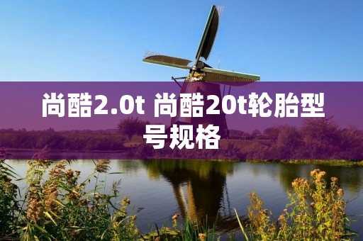 尚酷2.0t 尚酷20t轮胎型号规格 尚酷2.0t 尚酷20t轮胎型号规格