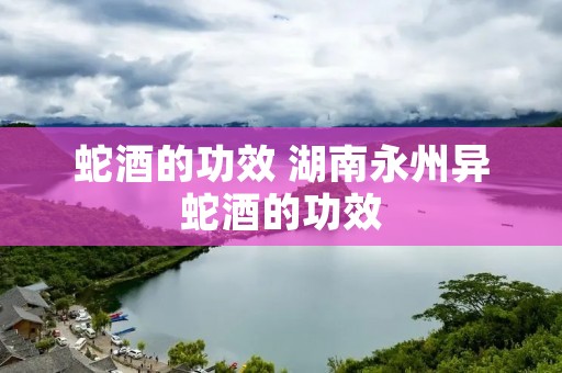 蛇酒的功效 湖南永州异蛇酒的功效