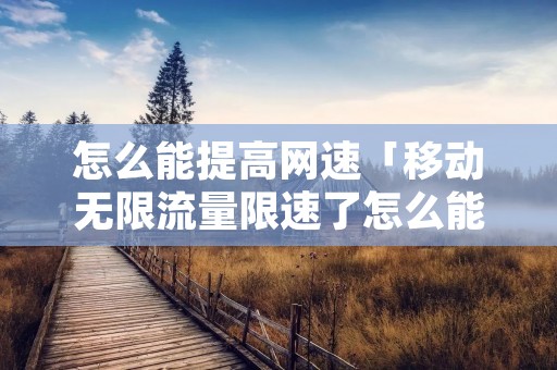 怎么能提高网速「移动无限流量限速了怎么能提高网速」