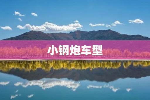 小钢炮车型：颠覆你对速度的认知