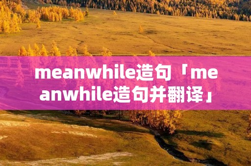 meanwhile造句「meanwhile造句并翻译」