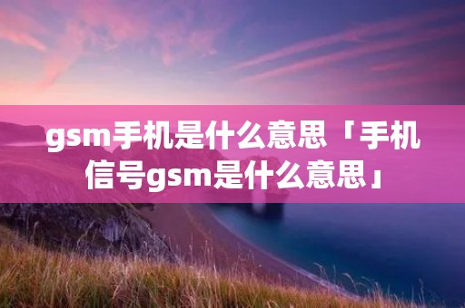 g**手机是什么意思「手机信号g**是什么意思」
