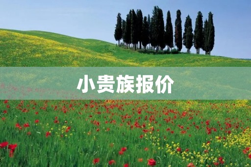小贵族报价:了解小贵族报价的种种因素 小贵族报价:了解小贵族报价的种种因素