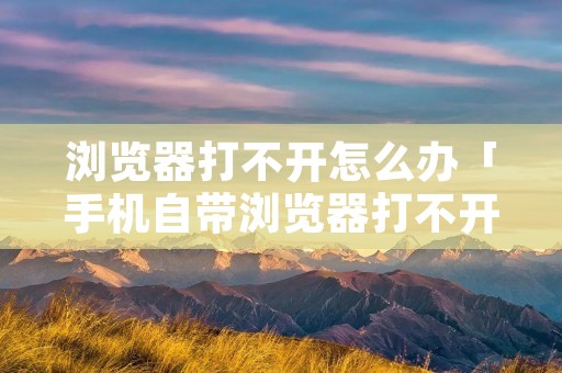 浏览器打不开怎么办「手机自带浏览器打不开怎么办」