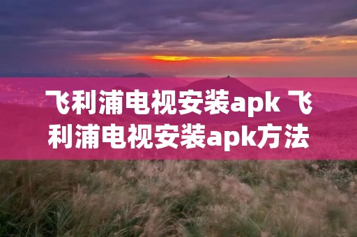 飞利浦电视安装apk 飞利浦电视安装apk方法