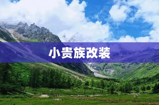 小贵族改装：演绎个性与奢华的完美融合
