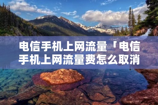 电信手机上网流量「电信手机上网流量费怎么取消」