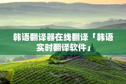韩语翻译器在线翻译「韩语实时翻译软件」