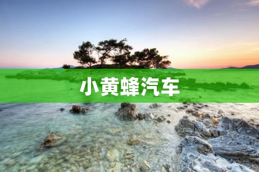 小黄蜂汽车：时尚与性能的完美结合