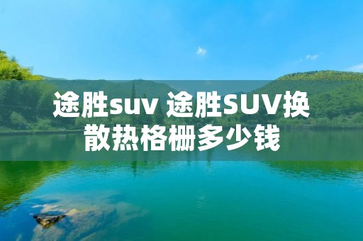 途胜suv 途胜SUV换散热格栅多少钱 途胜suv 途胜SUV换散热格栅多少钱