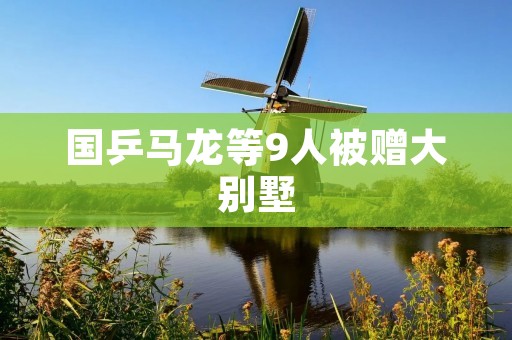 国乒马龙等9人被赠大别墅：豪宅奢华背后的背景与争议