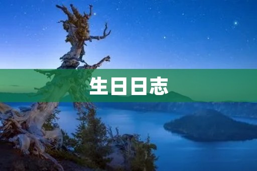 生日日志：一段关于岁月的回忆