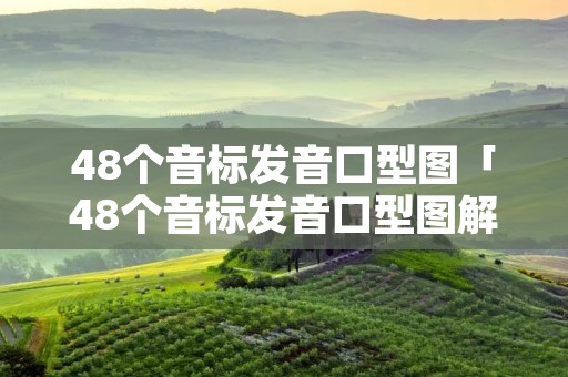 48个音标发音口型图「48个音标发音口型图解」