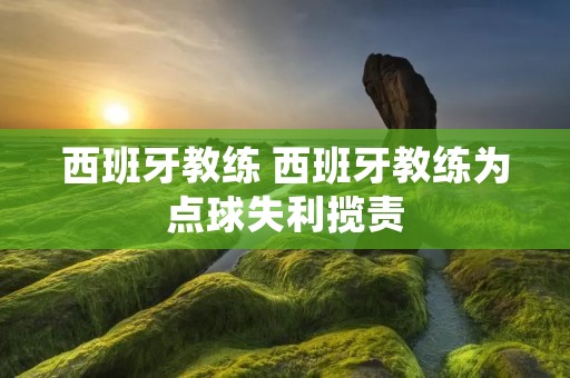 西班牙教练 西班牙教练为点球失利揽责