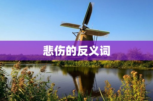 悲伤的反义词:喜悦、快乐、欢欣、愉快、欣喜、高兴、愉快、幸福、满足、舒畅