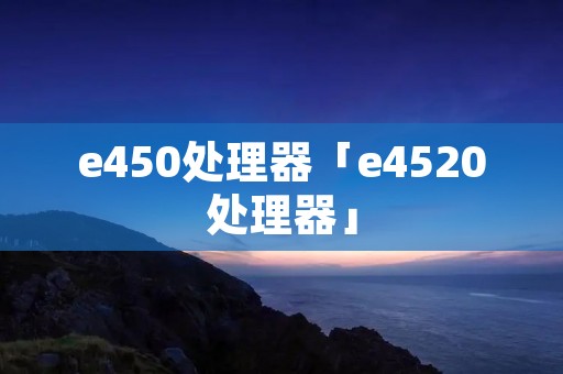 e450处理器「e4520处理器」