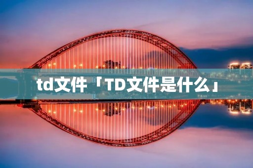 td文件「TD文件是什么」