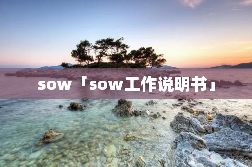 sow「sow工作说明书」