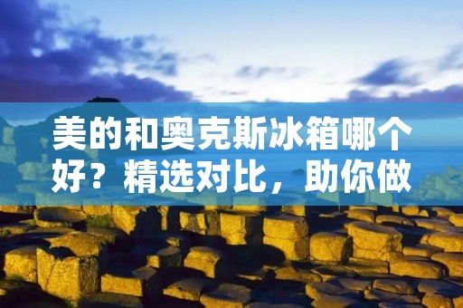 美的和奥克斯冰箱哪个好?精选对比,助你做出明智选择 美的和奥克斯冰箱哪个好?精选对比,助你做出明智选择