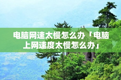 电脑网速太慢怎么办「电脑上网速度太慢怎么办」