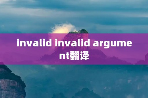 invalid invalid argument翻译