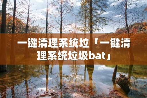 一键清理系统垃「一键清理系统垃圾bat」