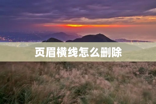 页眉横线怎么删除