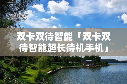 双卡双待智能「双卡双待智能超长待机手机」