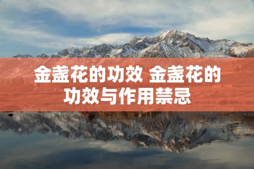 金盏花的功效 金盏花的功效与作用禁忌 金盏花的功效 金盏花的功效与作用禁忌