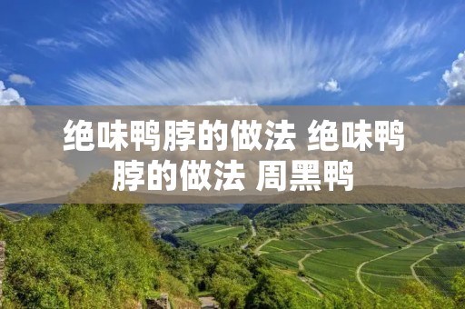 绝味鸭脖的做法 绝味鸭脖的做法 周黑鸭