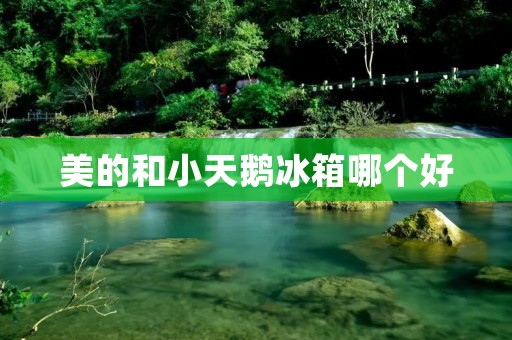 美的和小天鹅冰箱哪个好