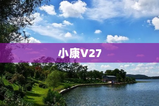 小康V27：颠覆你对豪华车的认知