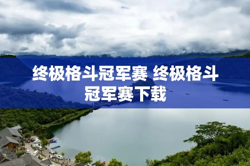 终极格斗冠军赛 终极格斗冠军赛下载 终极格斗冠军赛 终极格斗冠军赛下载