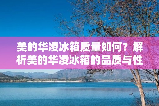 美的华凌冰箱质量如何?解析美的华凌冰箱的品质与性能 美的华凌冰箱质量如何?解析美的华凌冰箱的品质与性能