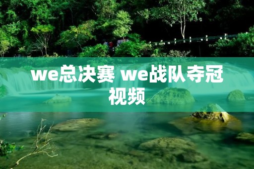 we总决赛 we战队夺冠视频