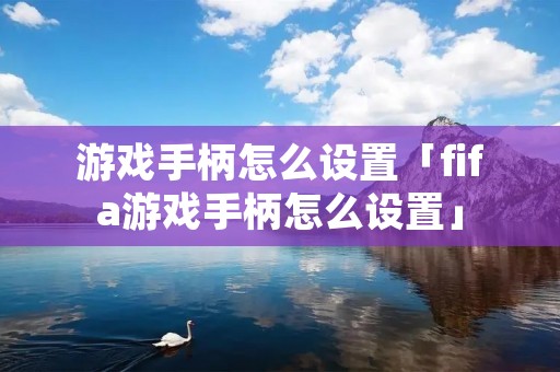 游戏手柄怎么设置「fifa游戏手柄怎么设置」