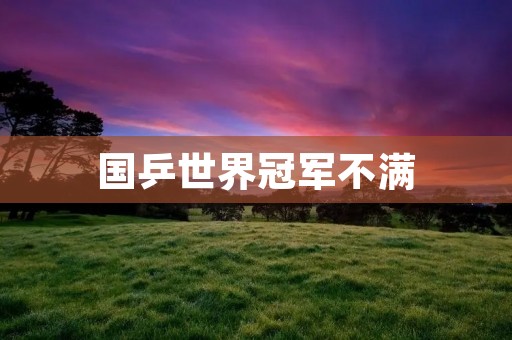 国乒世界冠军不满:挑战与机遇同在 国乒世界冠军不满:挑战与机遇同在