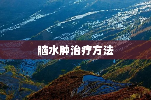 脑水肿治疗方法:详细描述
