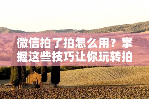 微信拍了拍怎么用？掌握这些技巧让你玩转拍一拍！