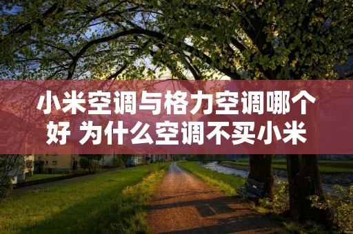 小米空调与格力空调哪个好 为什么空调不买小米