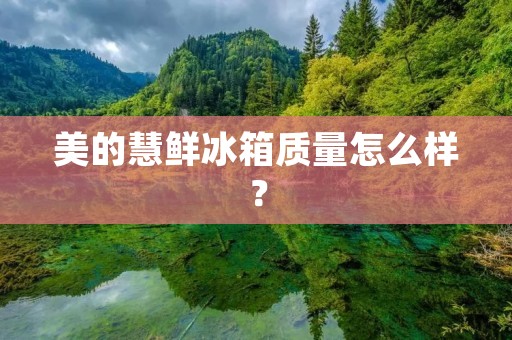 美的慧鲜冰箱质量怎么样? 美的慧鲜冰箱质量怎么样?