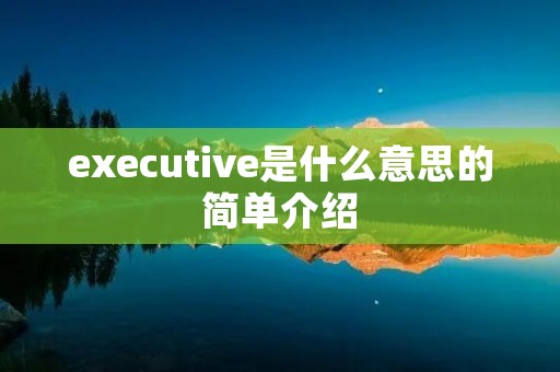 executive是什么意思的简单介绍 executive是什么意思的简单介绍