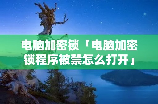 电脑加密锁「电脑加密锁程序被禁怎么打开」 电脑加密锁「电脑加密锁程序被禁怎么打开」