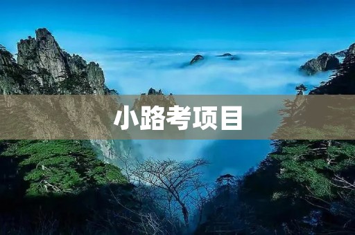 小路考项目:让学生更好地掌握学习内容 小路考项目:让学生更好地掌握学习内容
