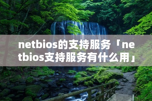 netbios的支持服务「netbios支持服务有什么用」