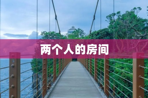 两个人的房间:共享空间的温馨与挑战
