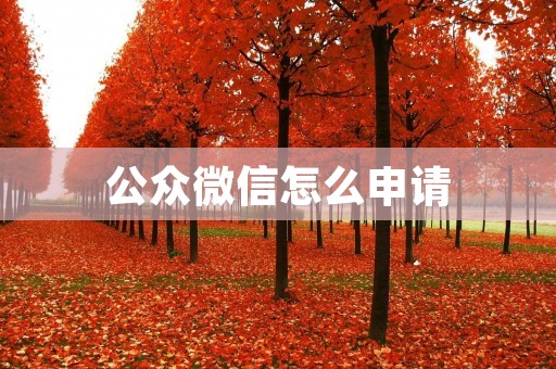 公众微信怎么申请
