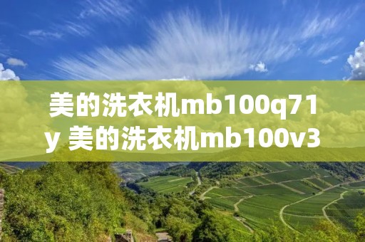 美的洗衣机mb100q71y 美的洗衣机mb100v31自清洗怎么用