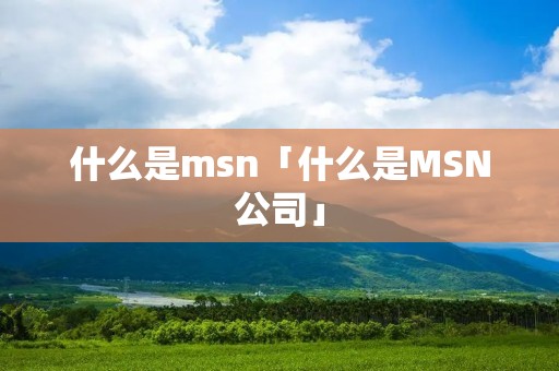 什么是msn「什么是MSN公司」